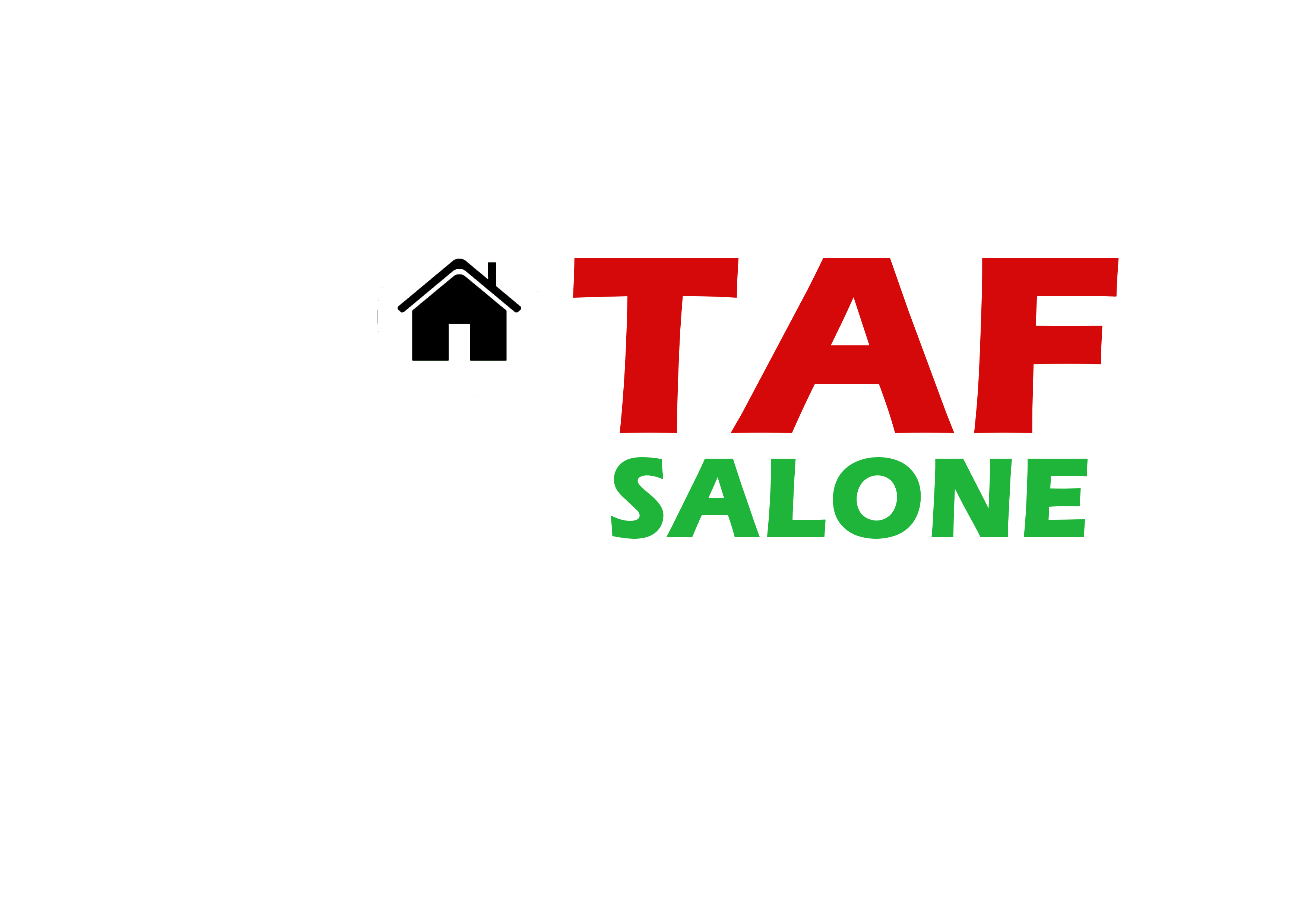 TAF Salone Micro City